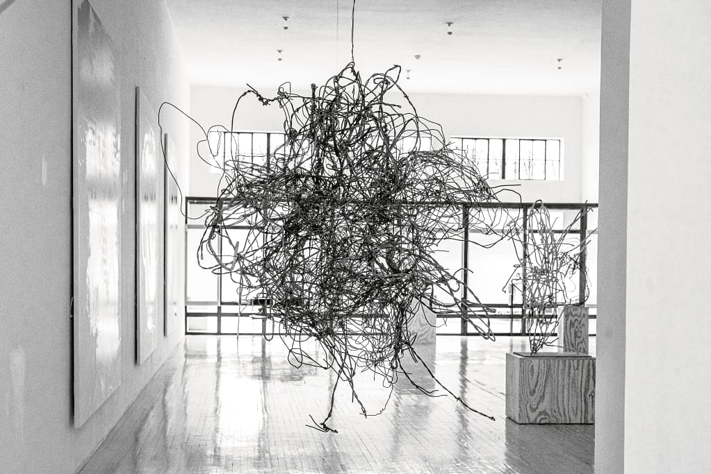 Christopher Wool: See Stop Run West Texas — Installation View
